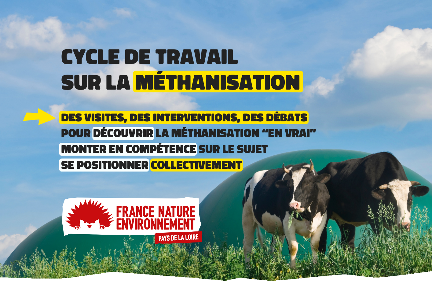 Photo de 2 vaches devant 2 domes de méthaniseur