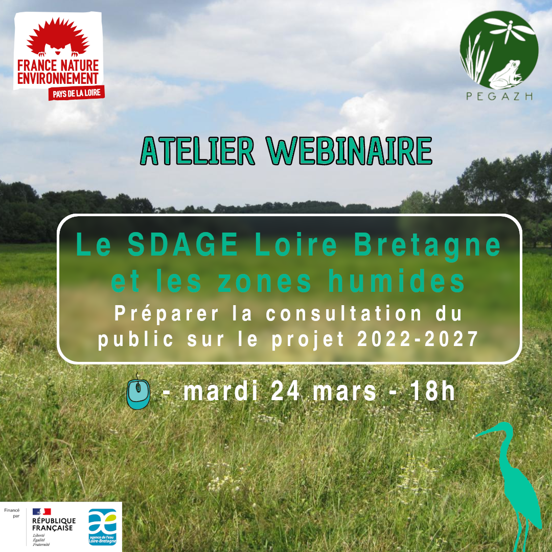 annonce webinaire fond nature zones humides