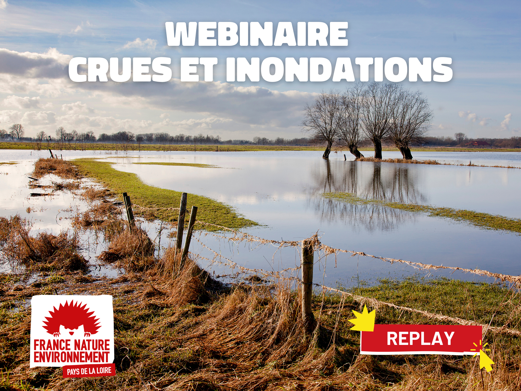 champ inondé