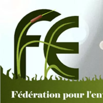 Logo de FE53