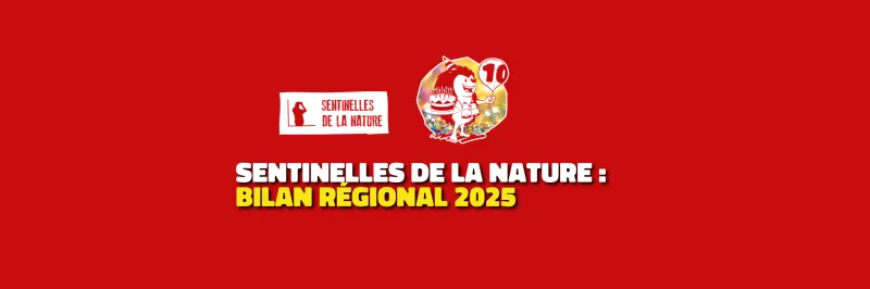 Bilan 2025 des Sentinelles de la Nature, texte jaune et blan sur fond rouge