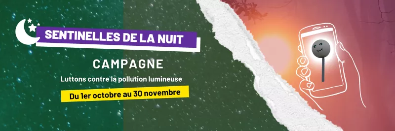 Affiche de la campagne Sentinelles de la Nuit