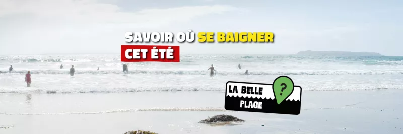 personnes se baignant à la plage