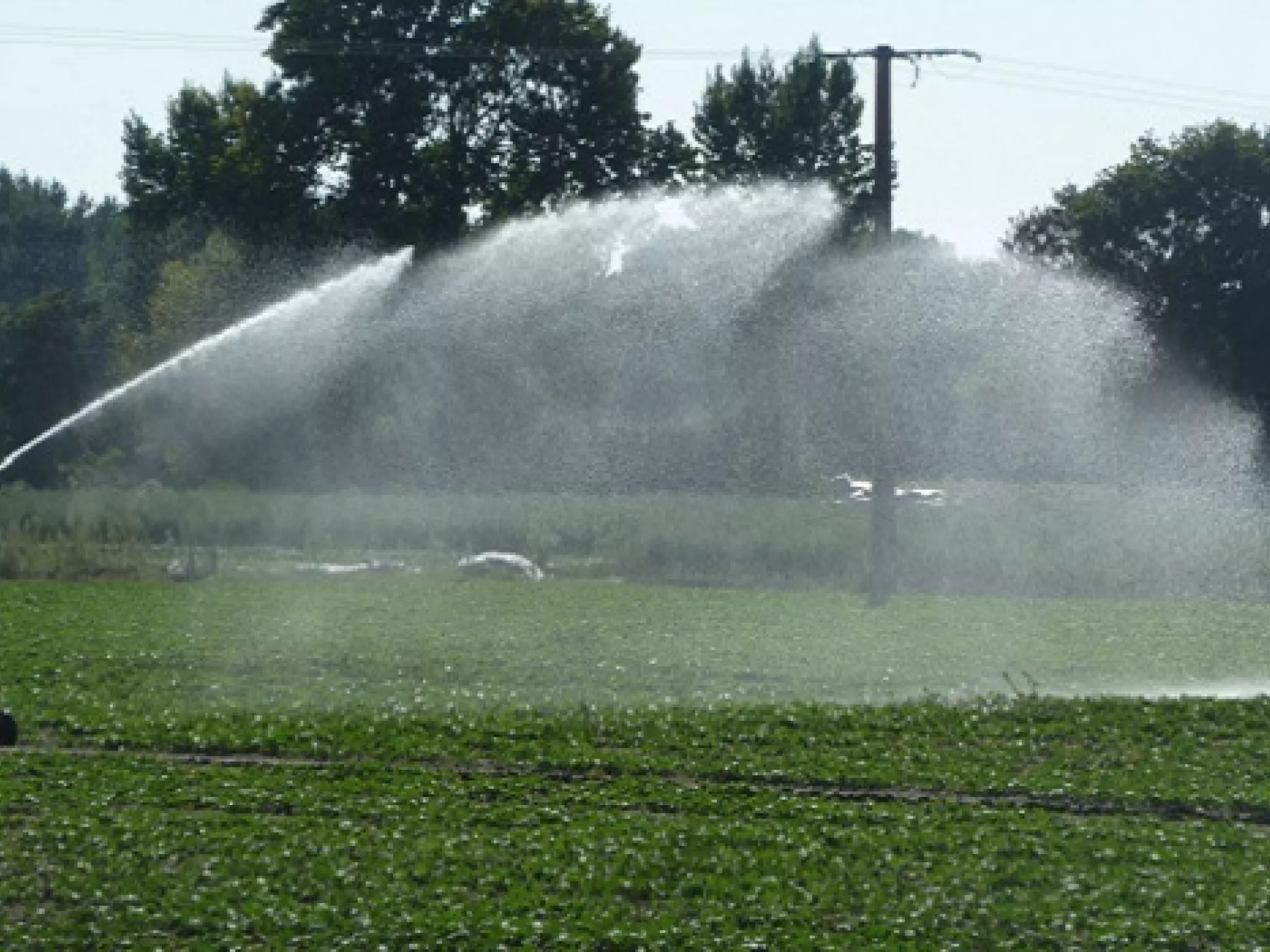 Irrigation