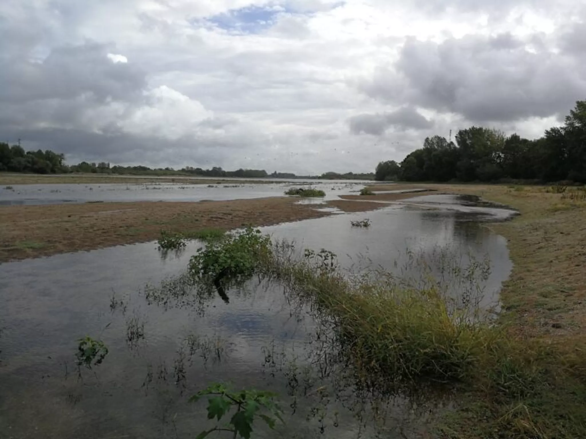 bord de Loire ciel gris