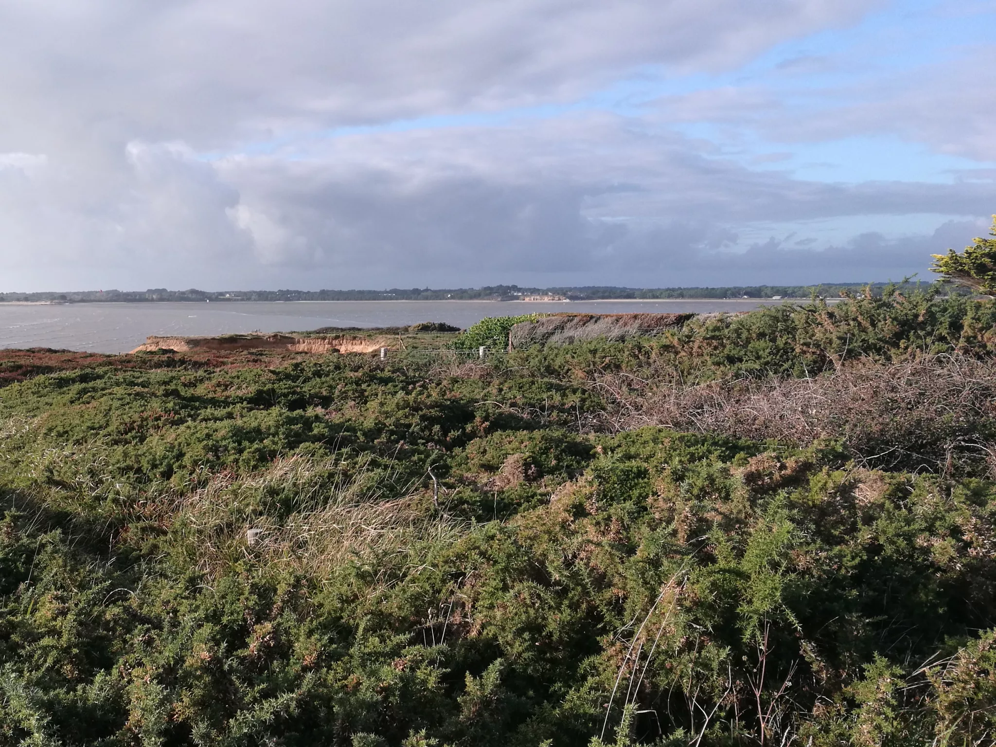 Paysage de dunes en bord de mer