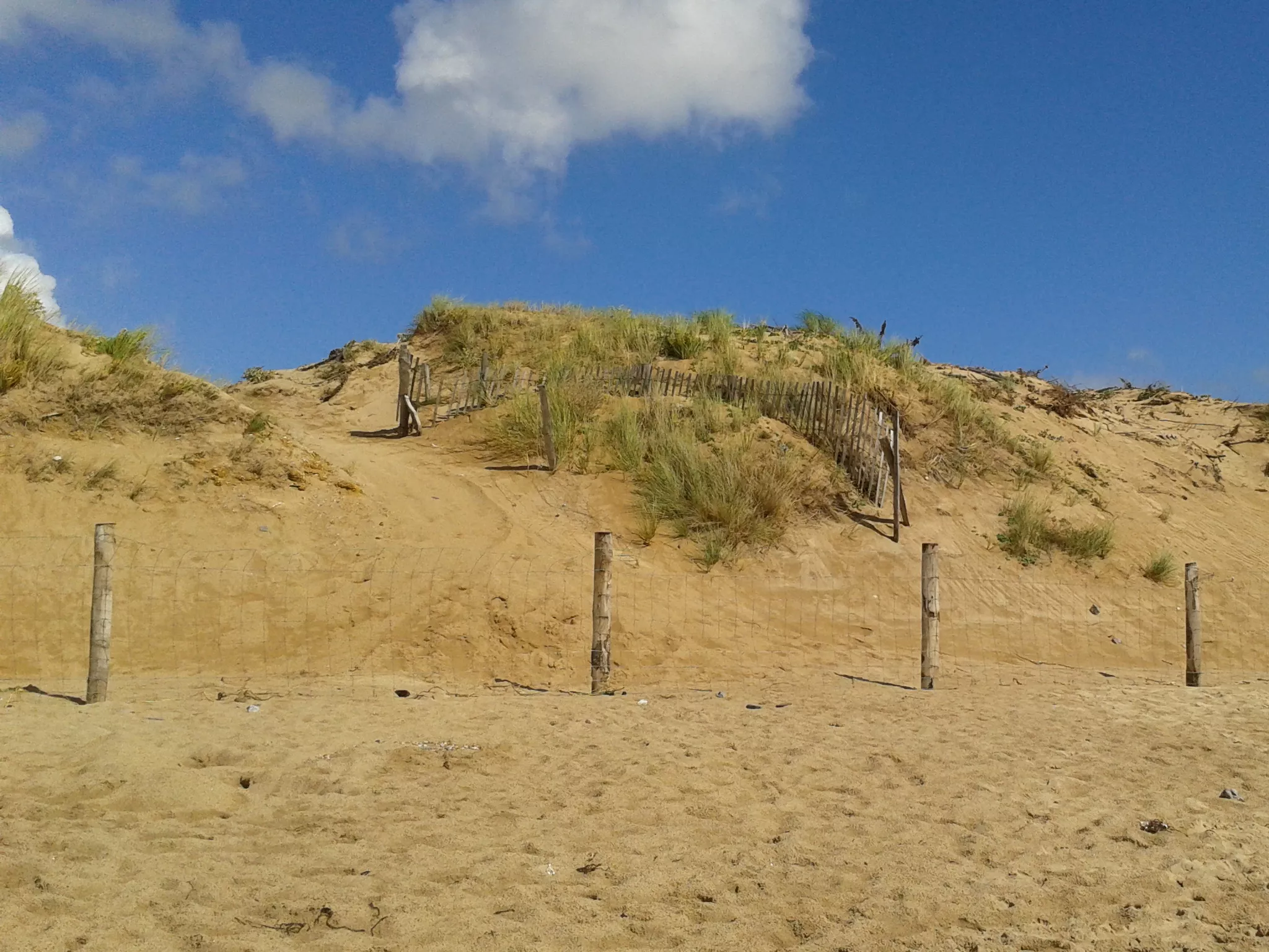 Dune de la Normandelière à Brétignolles-sur-Mer