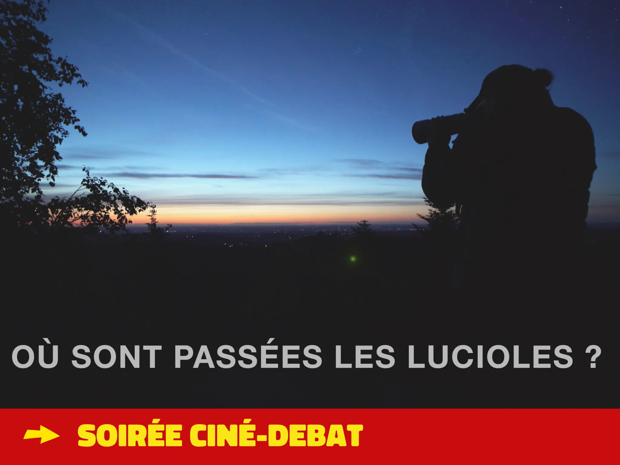 homme observant la nuit dans la nature