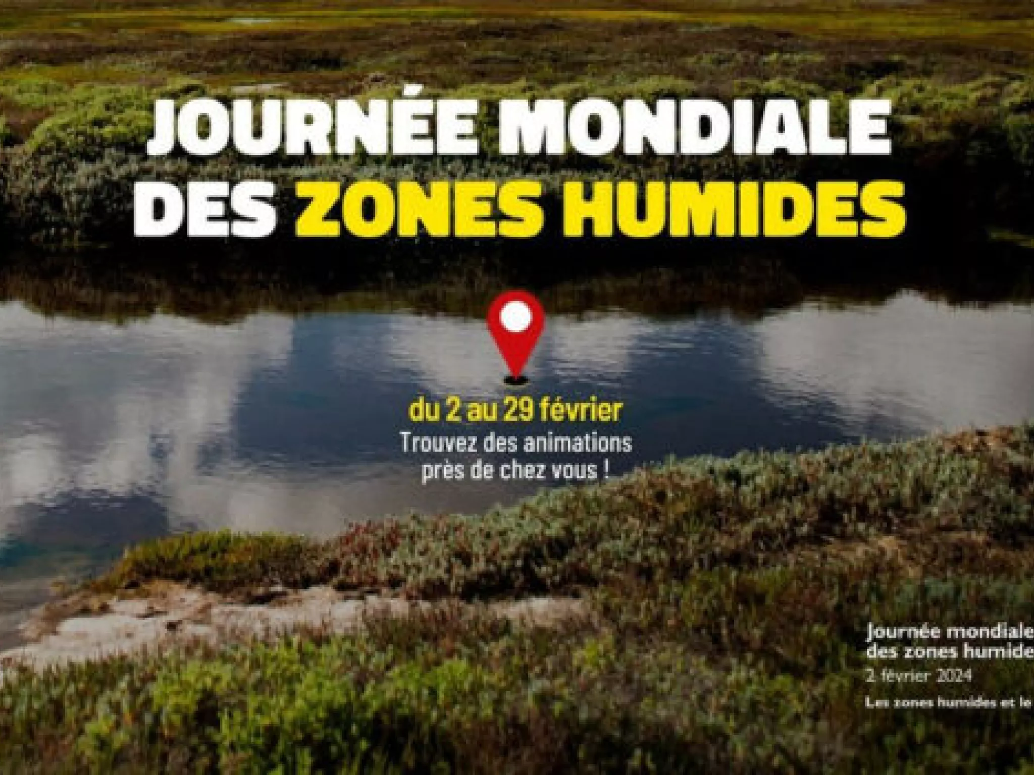 zone humide avec de l'eau et de la verdure