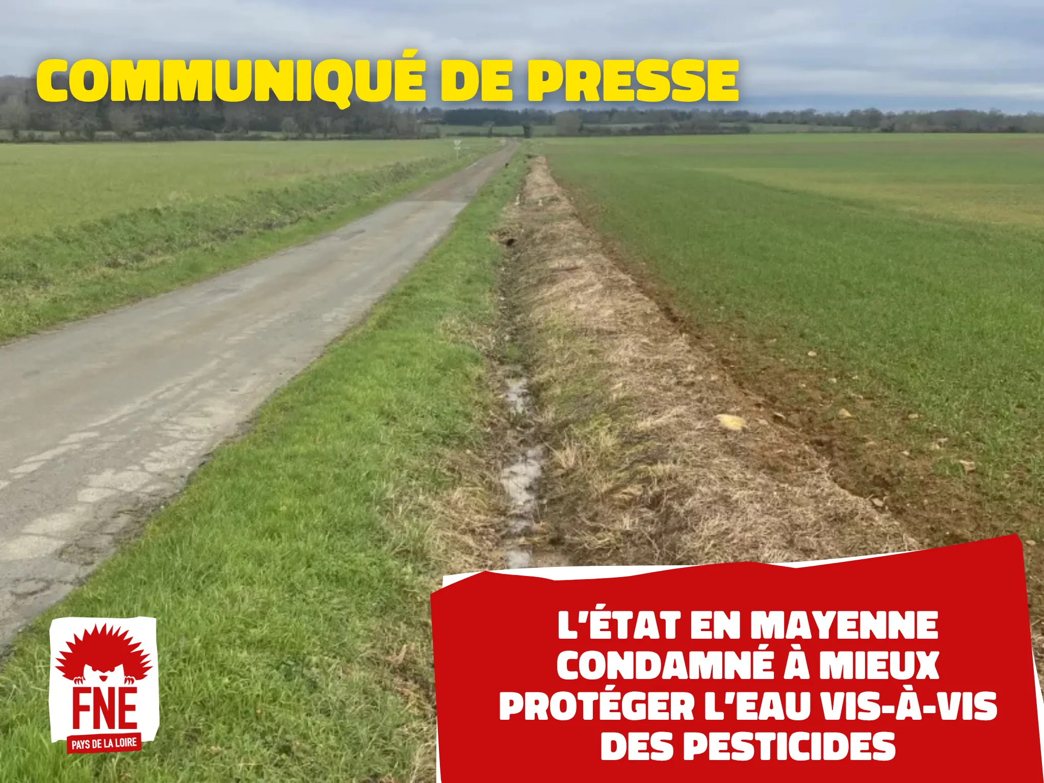 Fossé portant des signes de traitement par des pesticides