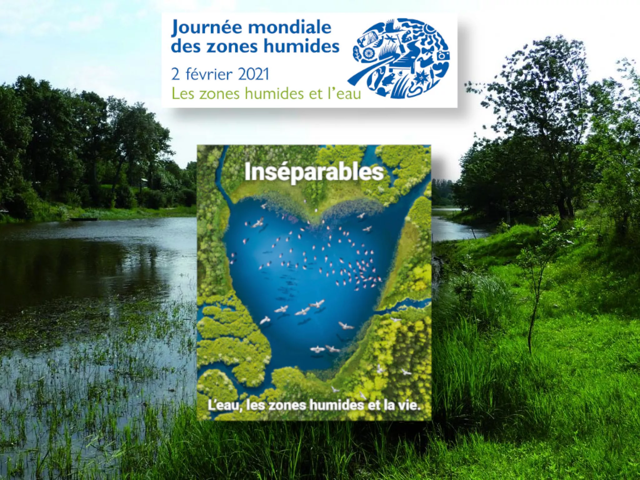 Affiche JMZH2021 fond zones humides verdure