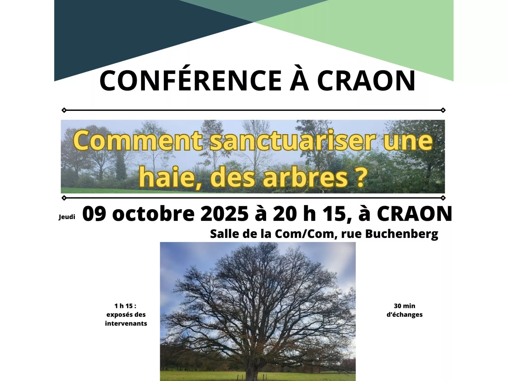 Comment sanctuariser une haie, un arbre