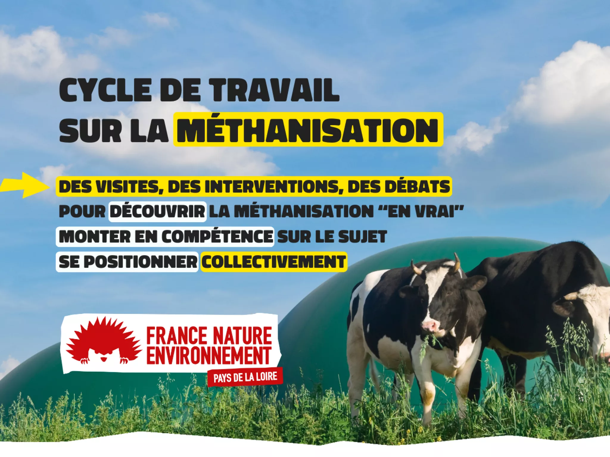Photo de 2 vaches devant 2 domes de méthaniseur
