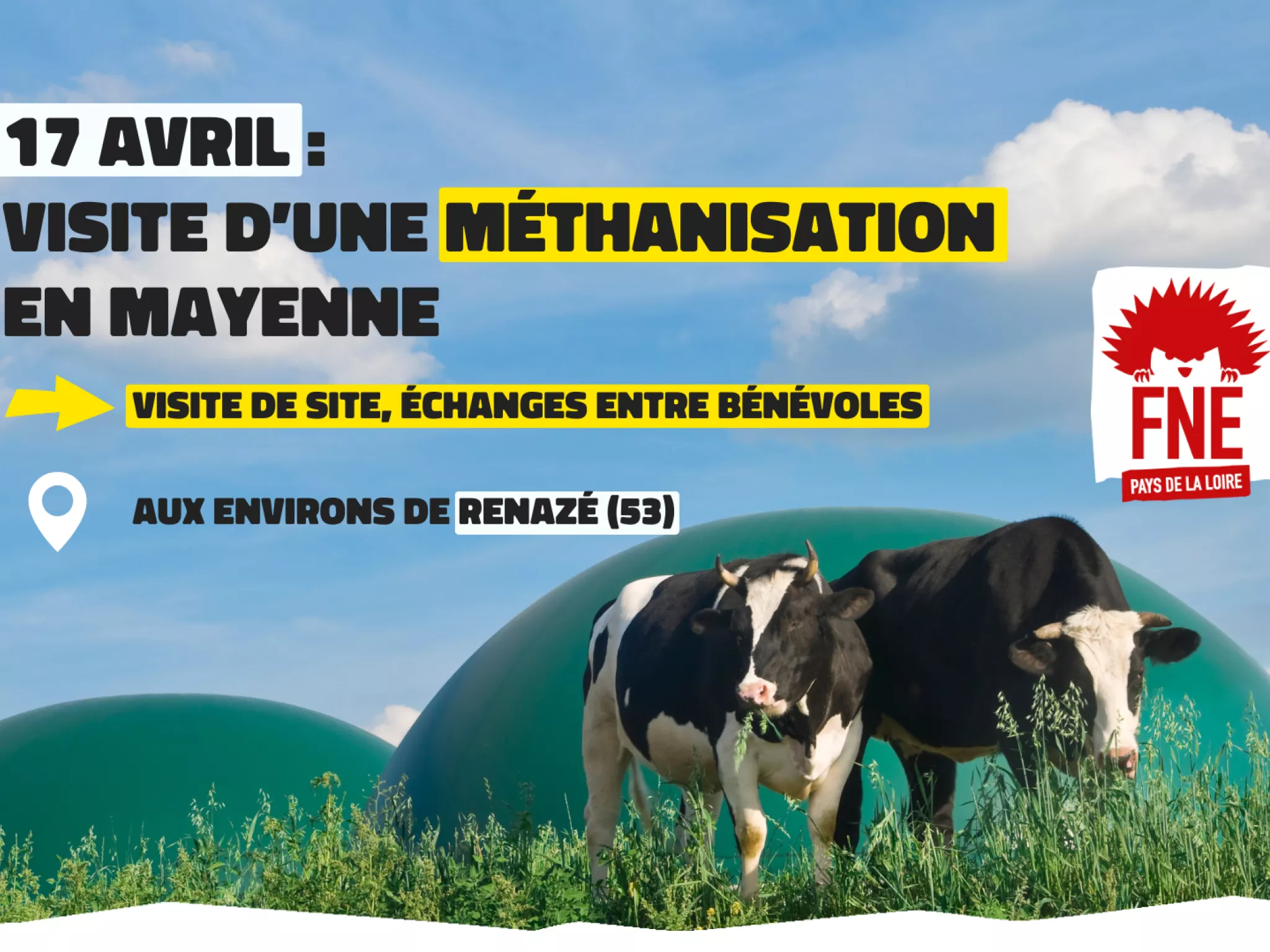 Photo de 2 vaches devant 2 domes d'un méthaniseur. Texte au dessus à côté du logo de FNE Pays de la Loire : "17 avril : visite d'une méthanisation en Mayenne. Visite de site, échanges entre bénévoles. Aux environs de Renazé (53)".