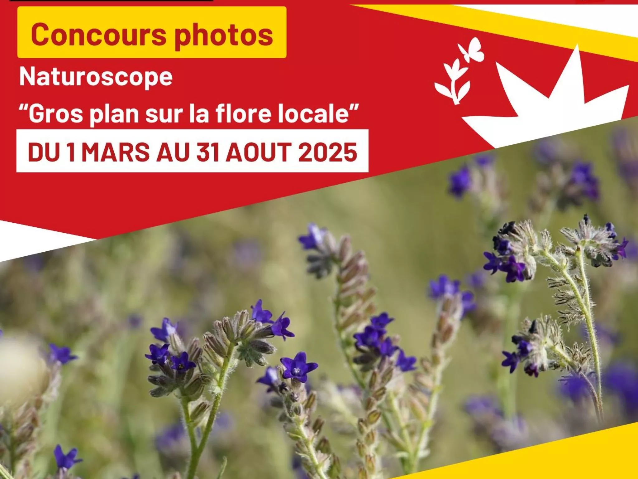 Naturoscope - Gros plan sur la flore locale