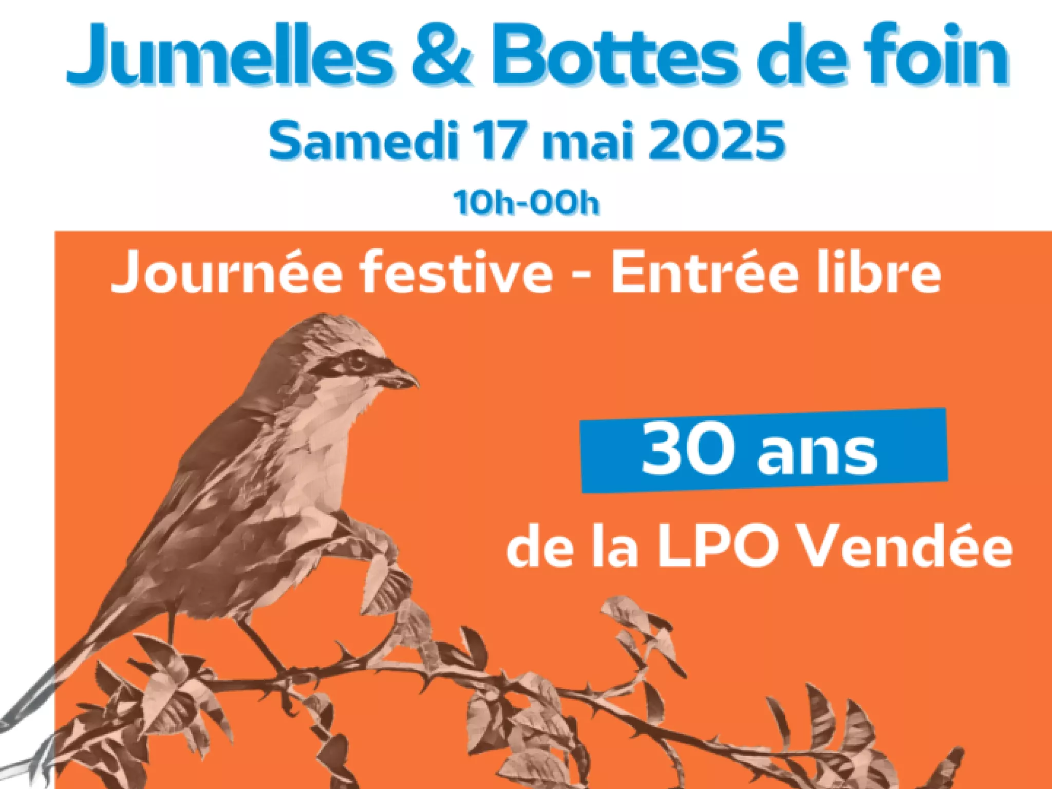 Happy bird’day : la LPO Vendée fête ses 30 ans ! Happy bird’day : la LPO Vendée fête ses 30 ans !
