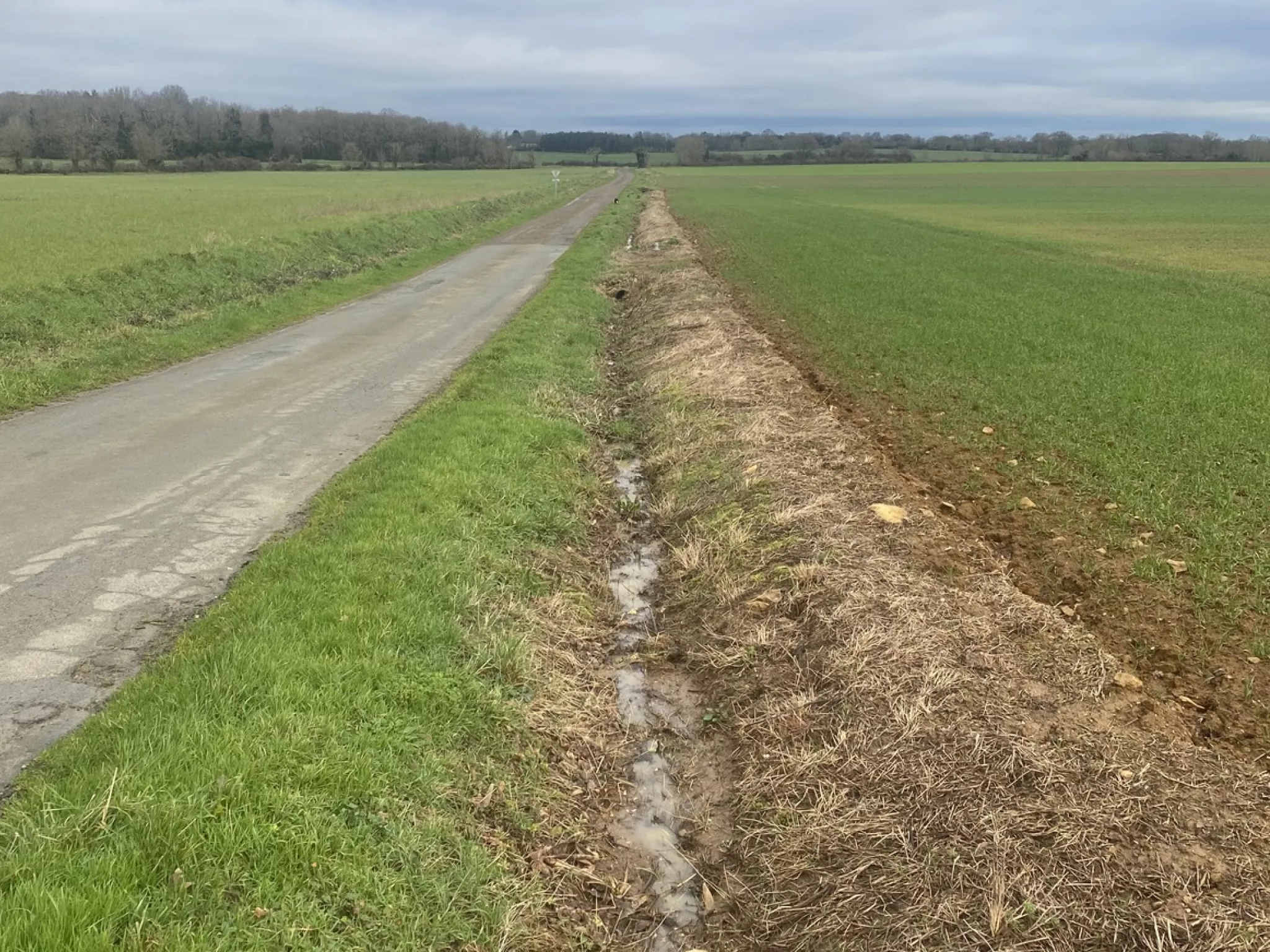 Fossé portant des signes de traitement par des pesticides