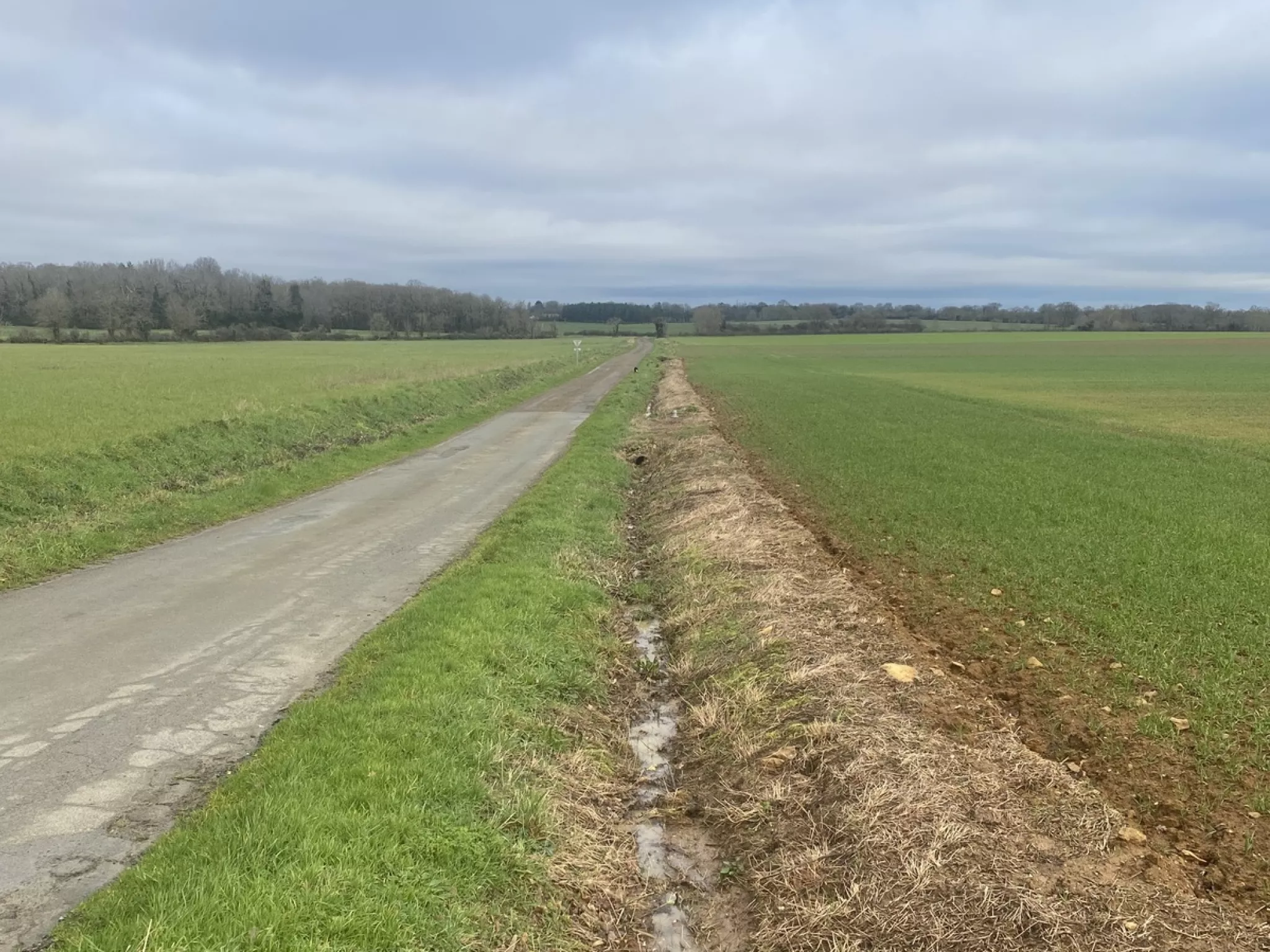 Fossé portant des signes de traitement par des pesticides