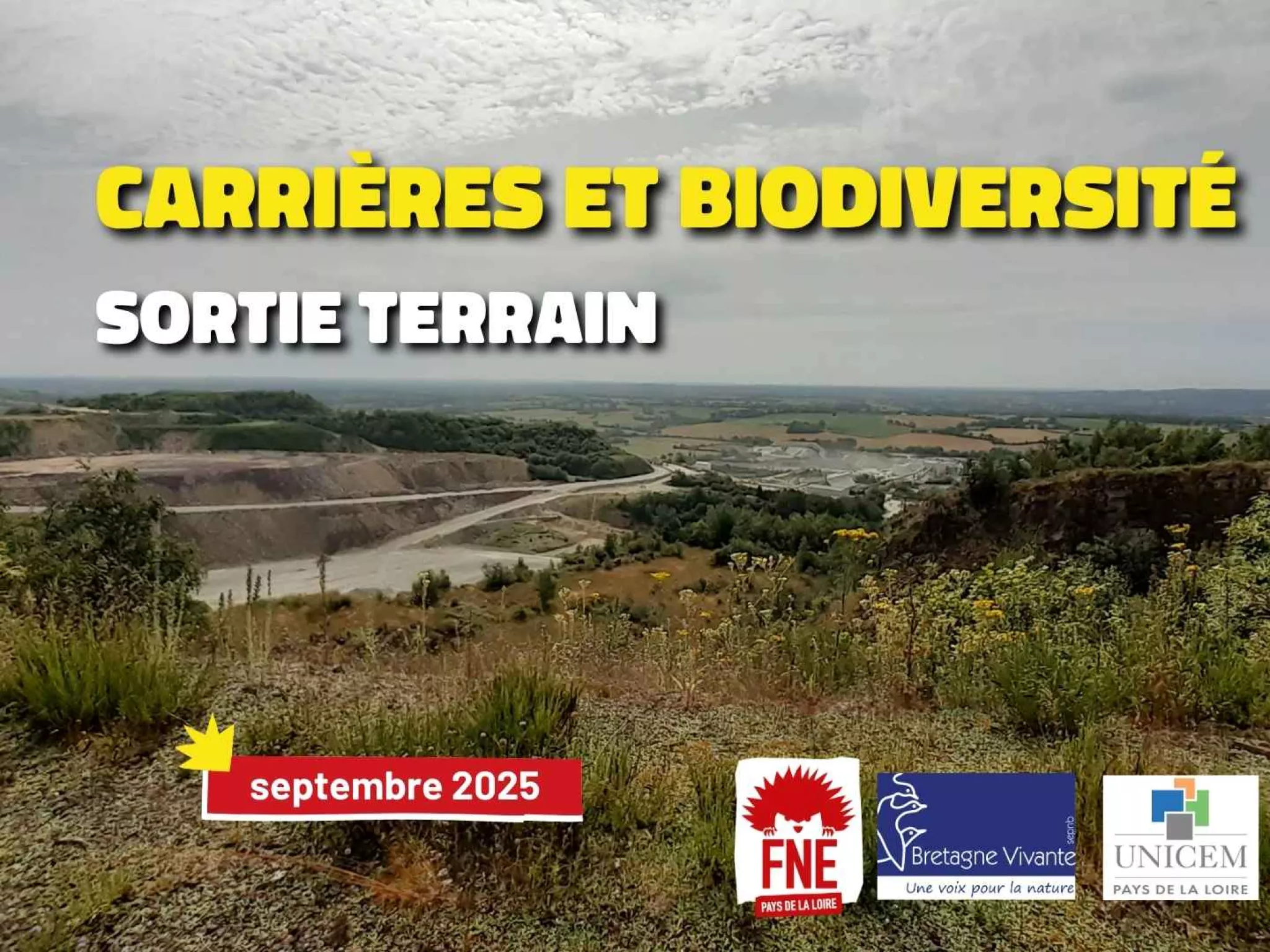 paysage d'un carrière avec végétation