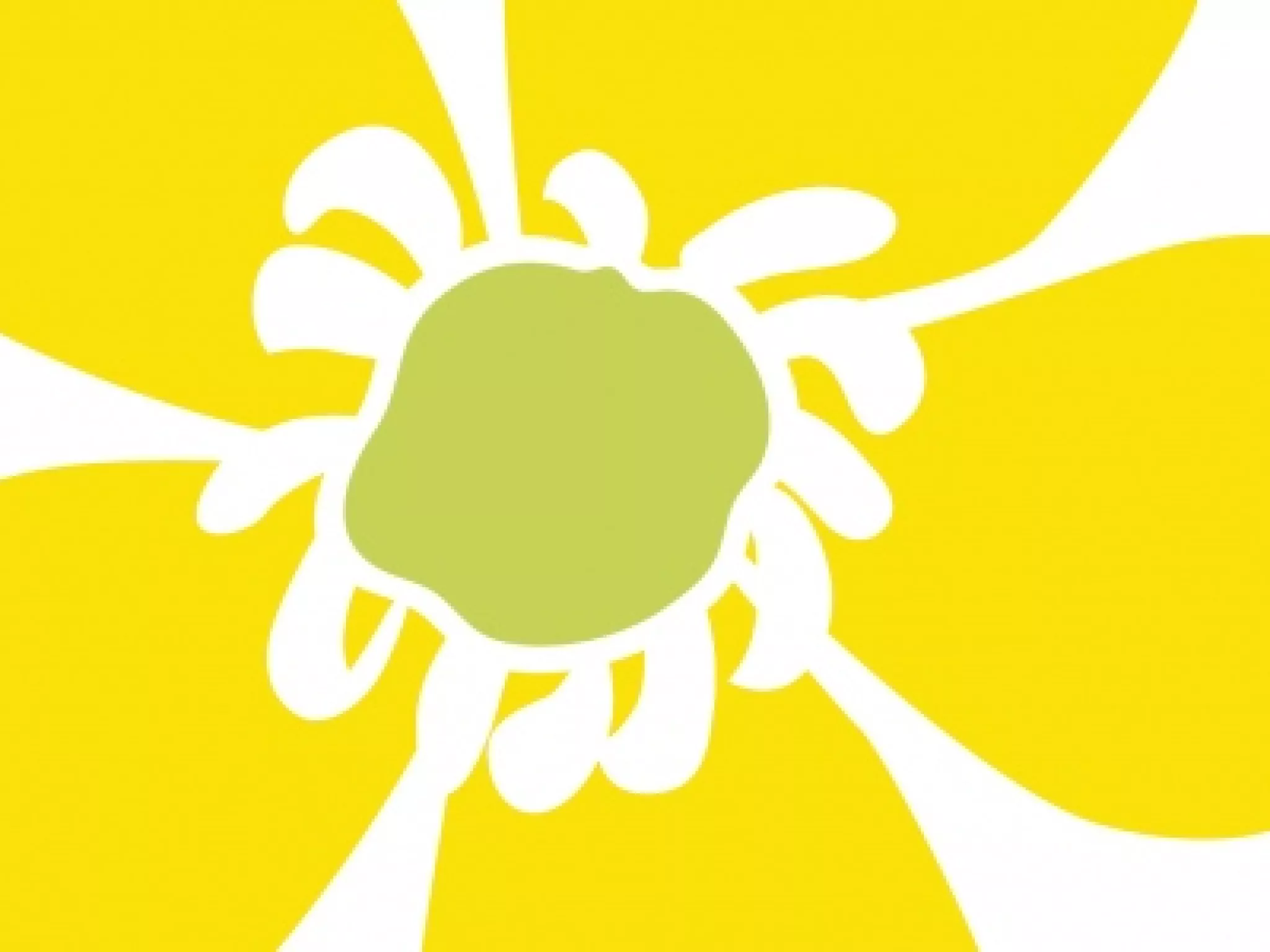 fleur en hommage à Rémi Fraisse