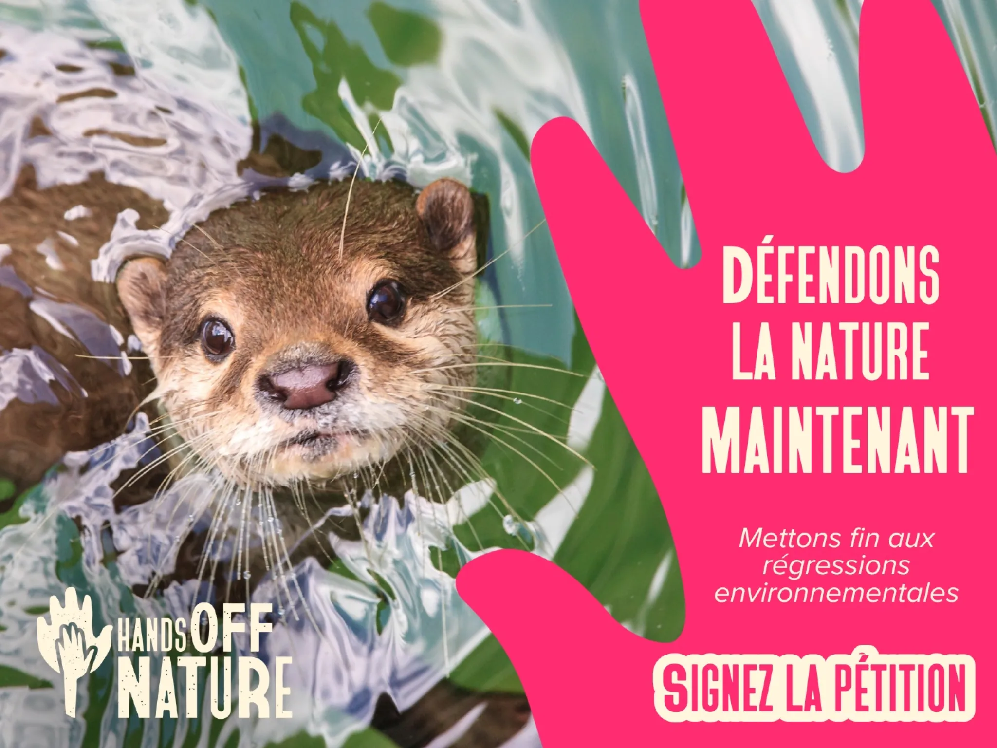 Signez la pétition pour défendre la nature et mettre fin aux régressions environnementales