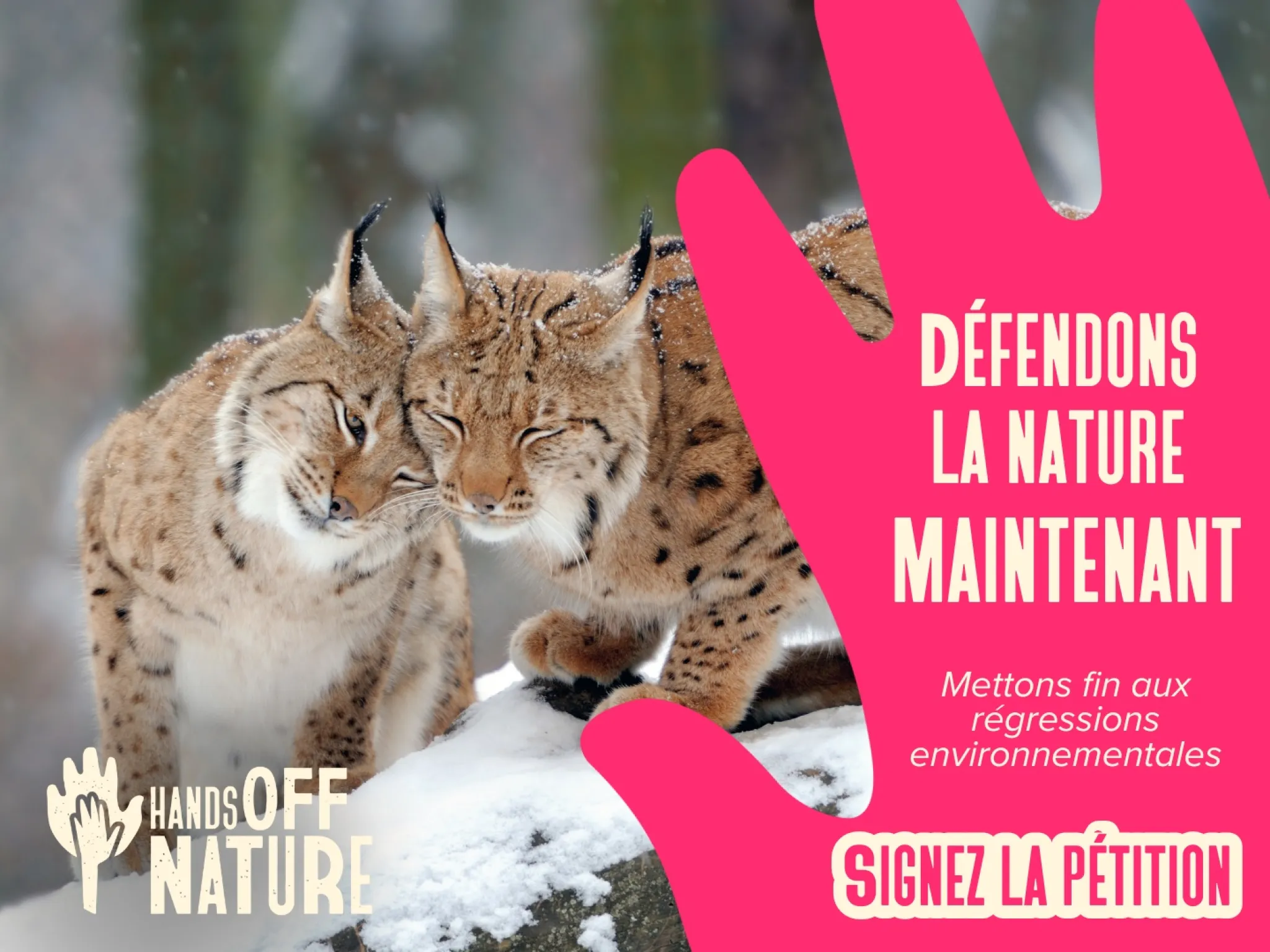Signez la pétition pour défendre la nature et mettre fin aux régressions environnementales