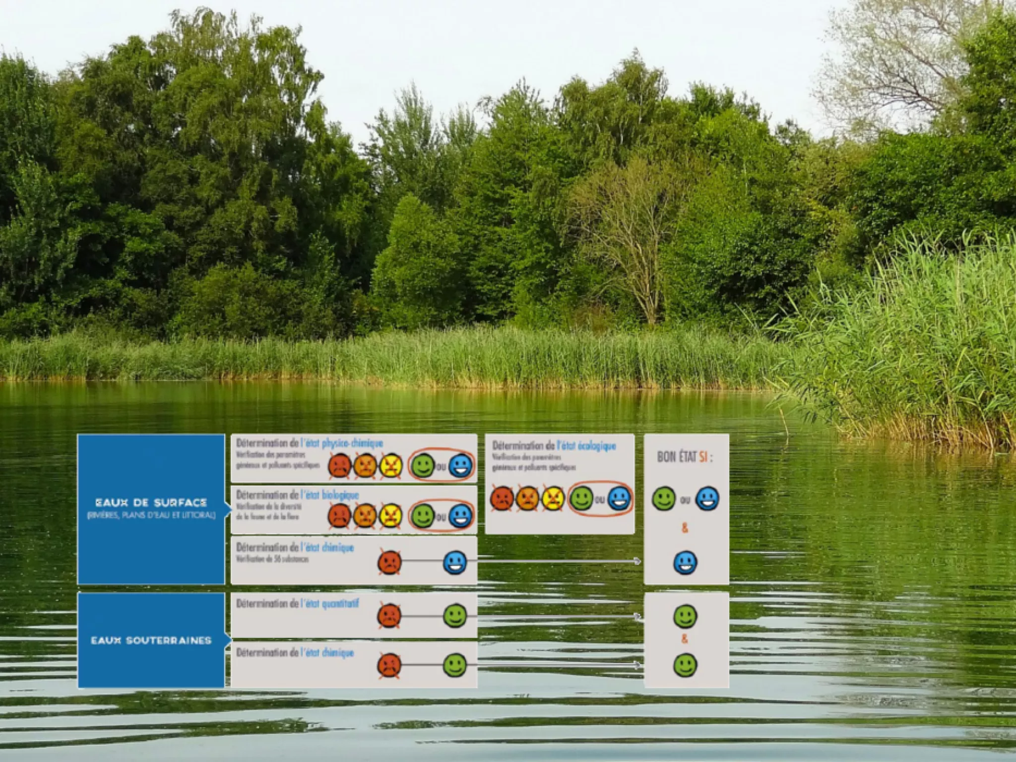bord de rivière et calcul du bon état