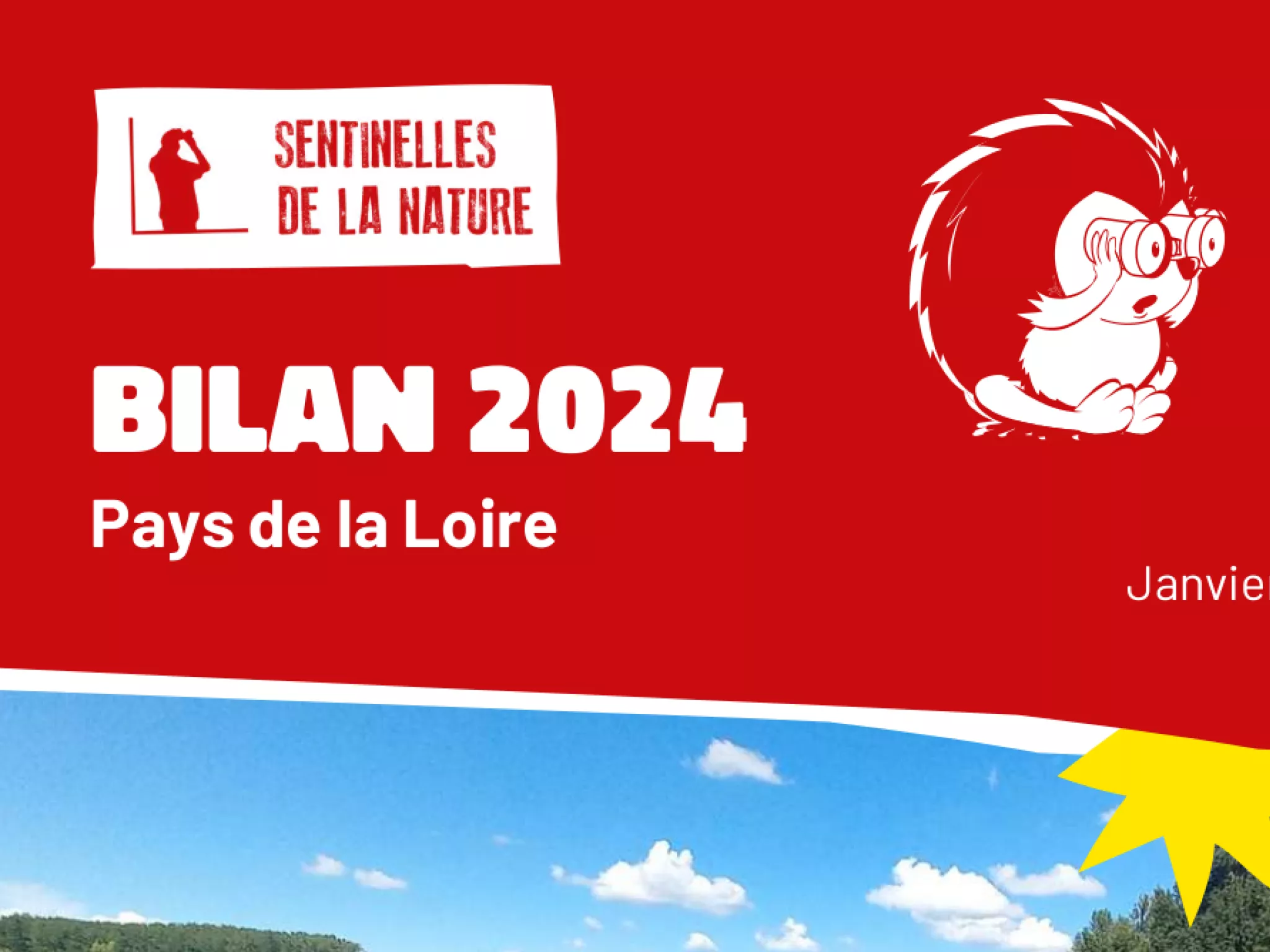 1ère page du rapport Sentinelle, hérisson avec des jumelles