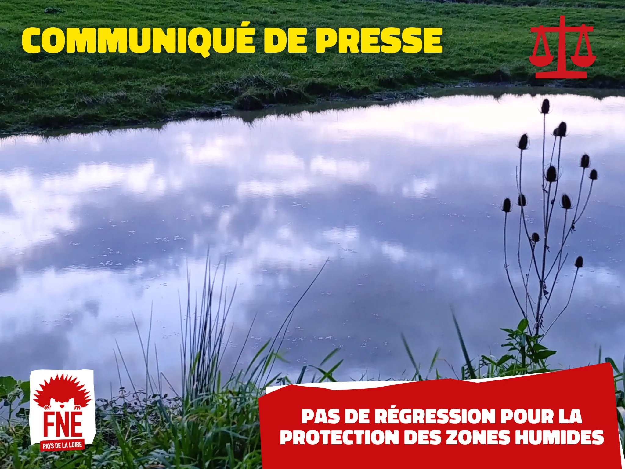 Ciel reflété dans une mare