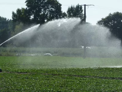 Irrigation 