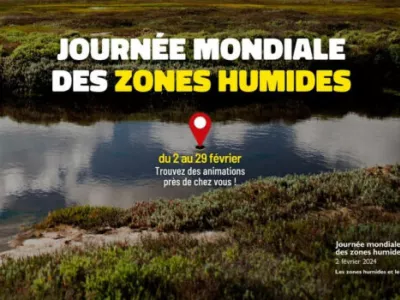 zone humide avec de l'eau et de la verdure