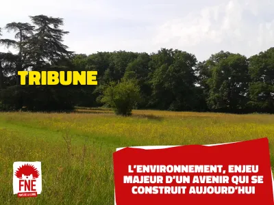 prairie fleurie avec arbres