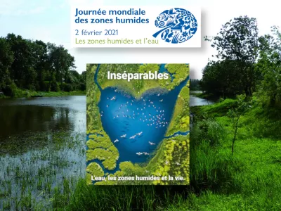 Affiche JMZH2021 fond zones humides verdure