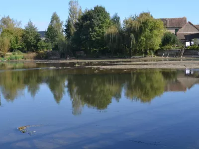 bord de rivière avec des arbres