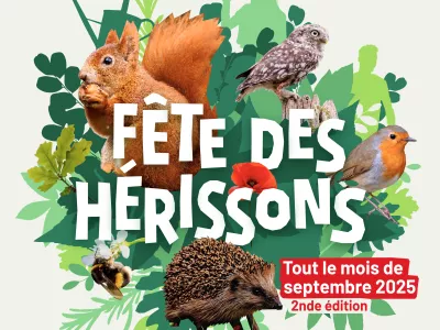 animaux dont hérisson