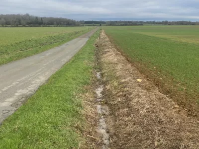 Fossé portant des signes de traitement par des pesticides