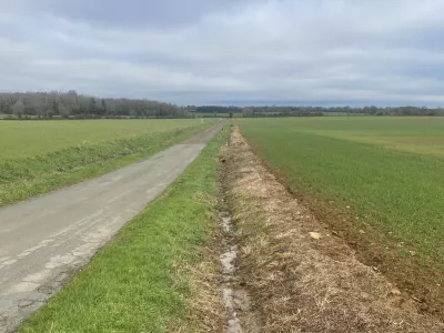 Fossé portant des signes de traitement par des pesticides