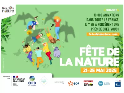 personnes allongées dans l'herbe avec des oiseaux volants autours