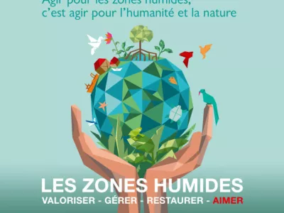 terre entre des mains en origami
