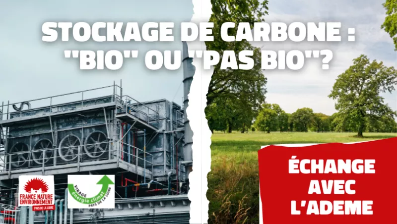 Affiche de la ressource "Stockage de carbone : bio ou pas bio ?"