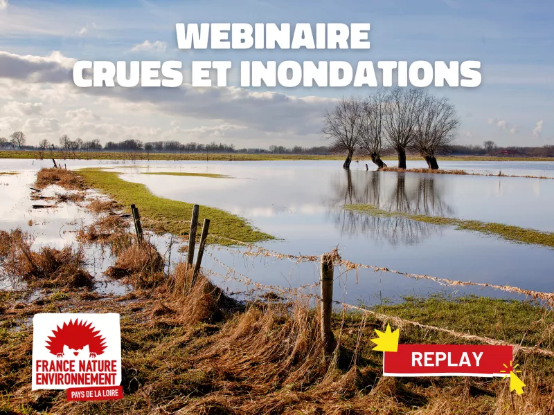 champ inondé