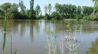 Jusqu’au 02 mai 2019, l’Agence de l’eau et le Comité de bassin Loire-Bretagne organise une consultation sur les grandes questions du futur SDAGE 2022-2027. Pour la dernière ligne droite, FNE […]