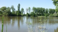 À une très forte majorité, le comité de bassin Loire-Bretagne vient d’approuver le schéma directeur d’aménagement et de gestion des eaux (SDAGE) de son territoire pour la période 2016-2021. Malgré […]