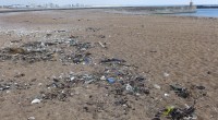 Pourquoi nettoyer les plages ? Le ramassage des déchets d’origine humaine va permettre de préserver et protéger la plage ainsi que la laisse de mer. Les marées et les vagues ramènent […]