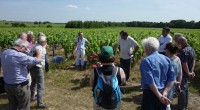 FNE Pays de la Loire a organisé le 20 juin 2014 à Monnières (44) une journée d’information sur le plan Ecophyto et la protection sanitaire de la vigne. Cette journée […]