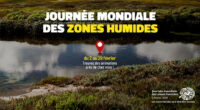 Chaque année depuis 1997, la Journée mondiale des zones humides (JMZH de son petit nom) célèbre les zones humides partout dans le monde. En France, elle dure tout le mois […]