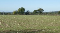 L’arrêté établissant le programme d’actions régional en vue de la protection des eaux contre la pollution par les nitrates d’origine agricole pour la région des Pays de la Loire vient […]