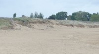Lorsque vous allez à la plage : il faut faire attention aux dunes ! Ce sont des lieux fragiles qui limitent l’avancée de la mer à l’intérieur des terres. Des acteurs […]