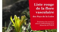 Le Conservatoire botanique national de Brest vient de publier la première liste rouge de la flore vasculaire des Pays de la Loire labellisée par l’UICN France. Depuis plus de vingt-cinq […]