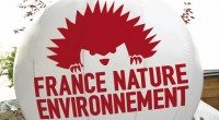 Pour la première fois, le hérisson, symbole de France Nature Environnement, tourne la tête. Redessiné, le logo de la fédération des associations de protection de la nature et de l’environnement, […]